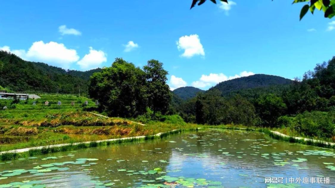 全网最低价快手业务网站：快手电商营销新策略引行业关注_小时全自助下单平台快手