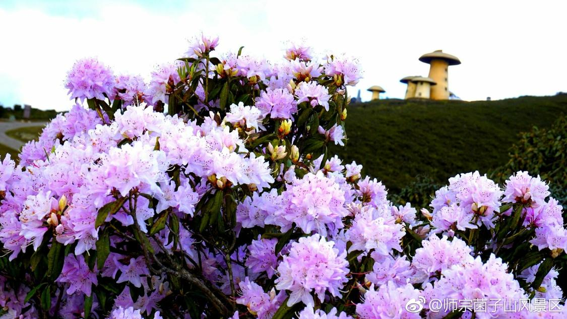 2020亿乐社区主站系统源码