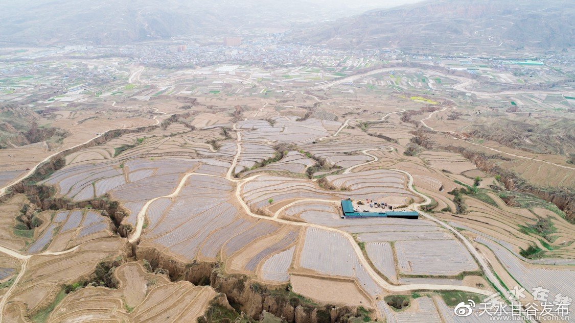 b站号购买自动发卡网