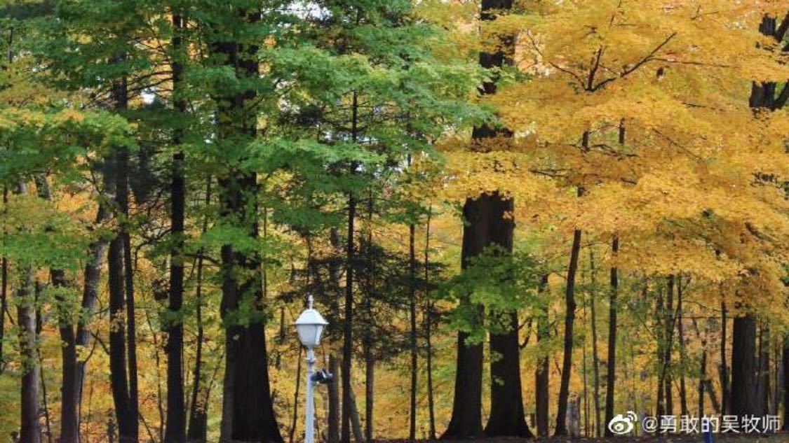 ks粉丝在线自助平台